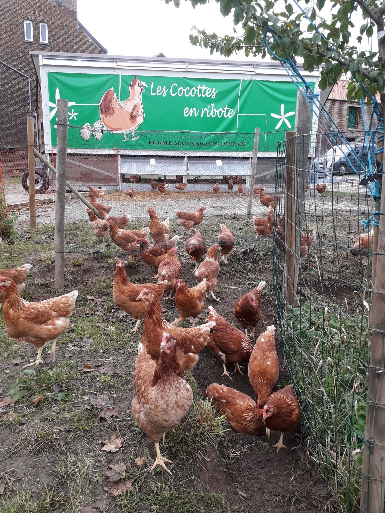 Les Cocottes en ribote